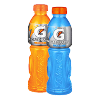 <p>Gatorade sports drink 600mL.</p><span style="font-family:tahoma;font-weight:800;font-size:20px;color:red;line-height:20px">Price coming soon</span>